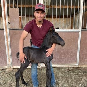 Meet your Posher, Silverio